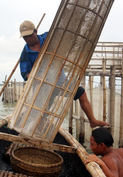  T&igrave;m về "nh&agrave; gi&agrave;n" tr&ecirc;n ph&aacute; Tam Giang